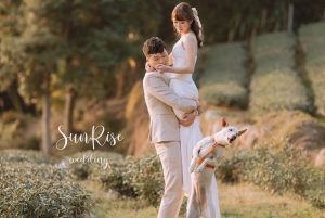 毛孩入鏡不翻車！台中寵物婚紗攝影全攻略｜台中婚紗攝影推薦—日出映像